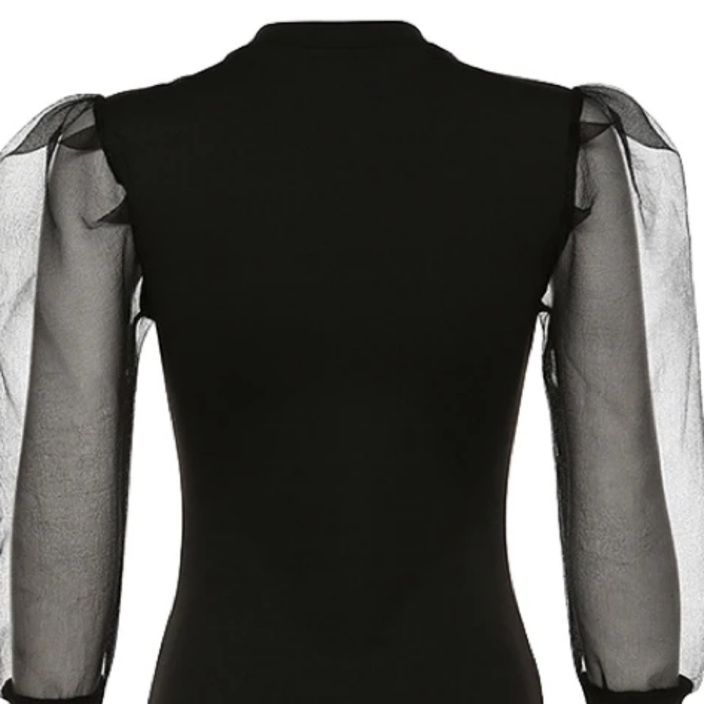 Puff sleeve blouse